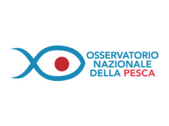 Osservatorio nazionale della pesca